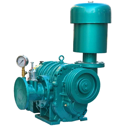 Roots Blower, FUTI, TWO, BLADES, HORIZONTAL - detail 20