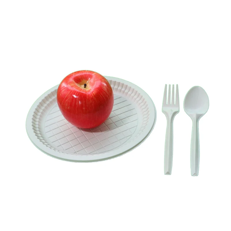 Chinese Food Container Plate Oval Disposable Plates 6 Dessert