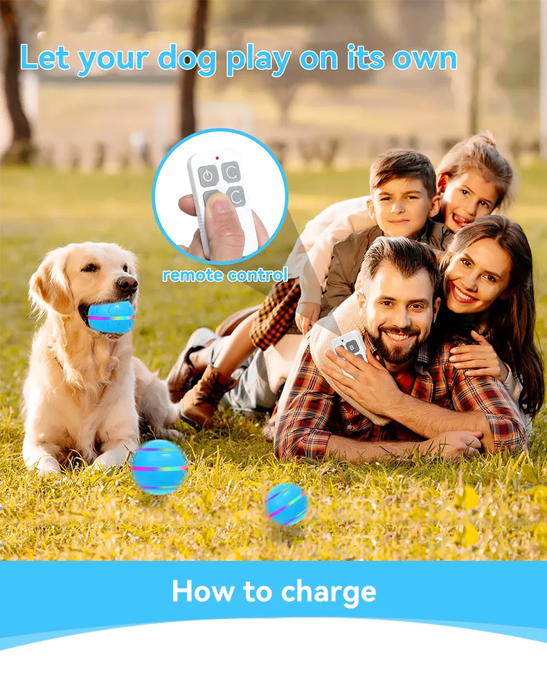 DOUGEZ Pet Electric Toy Ball Bite Resistant Teaser Dog Flash Ball Remote Control Intelligent USB Charging Toy Cat Toy details