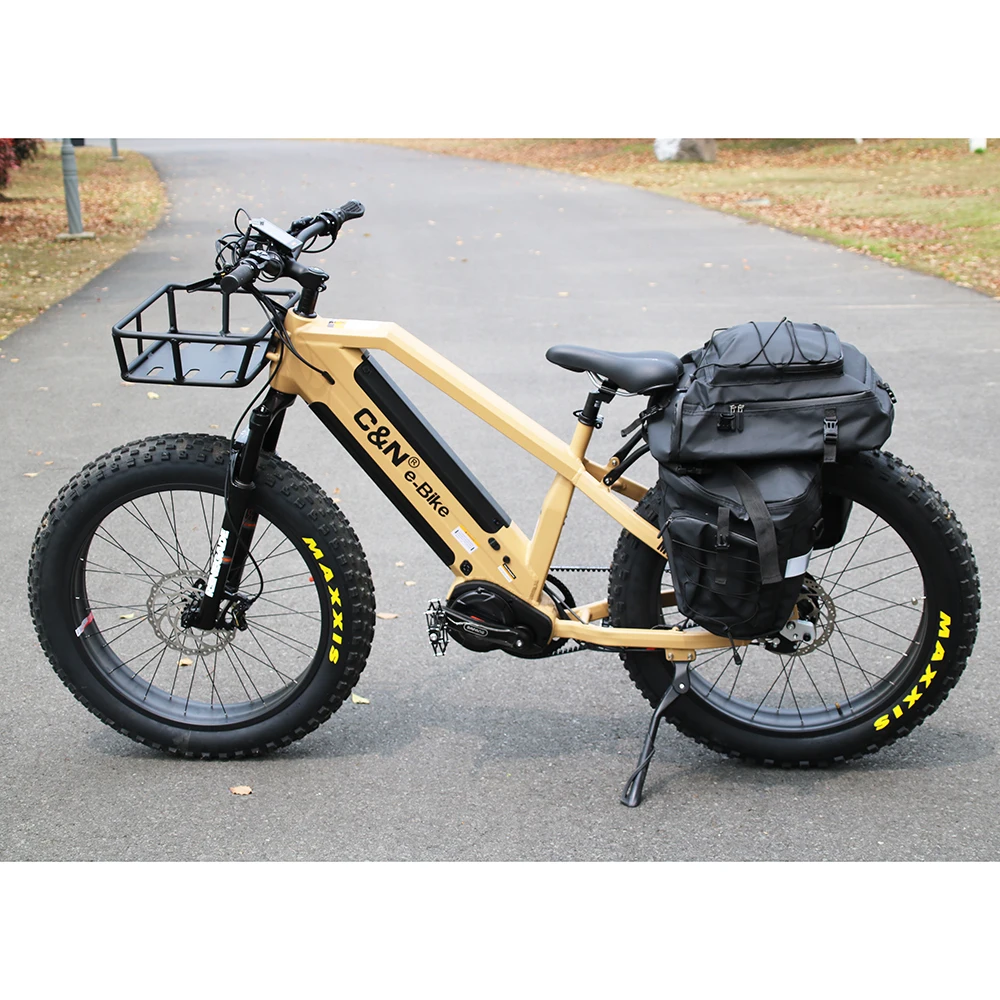 Rohloff 14 Speed Internal Gear Hub Belt Drive Dual Batteries 1000w Bafang Ebike 48v Electric Bicycle Electric Bike Made in China