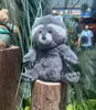 Raccoon (Released on 6/20)