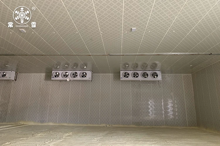 100 Cubic Meters Cold Storage/cold Room