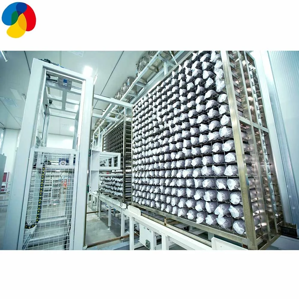 Шампиньон Shiitake Spawns, Buches with graines, Substrat with mycelium (Lentinula edodes)