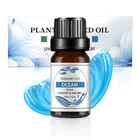 Natural Water Soluble Essential Oil Aromatherapy 6 Bottles Set Fragrance Essential Oils