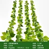 Grapevine leaves (2 leaves per package)