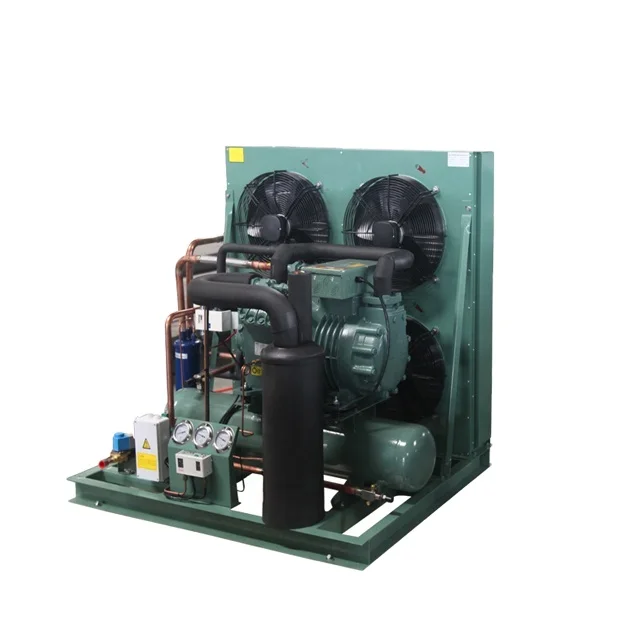 Air-Cooled Condensing Unit Cold Room Condenser Freezer Condensing Unit for Refrigeration