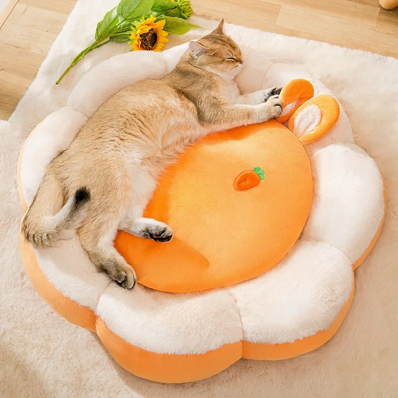 fancy cat accessories