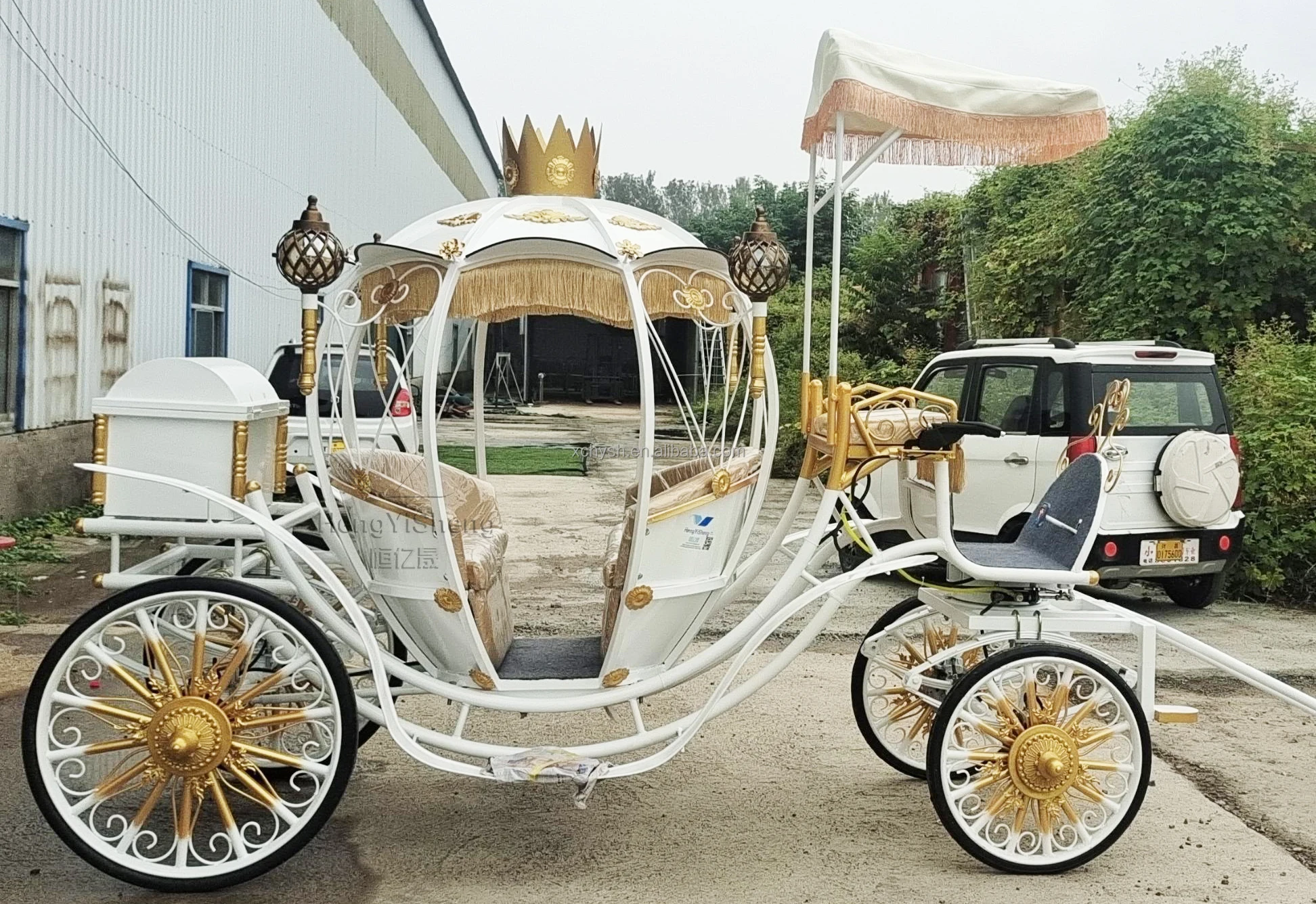 White Electric Cinderella Pumpkin Horse Carriage For Sale/luxury ...