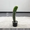 Cactus mexicano - 55CM (viene con base negra)