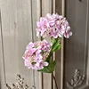 2 Head Fruit Embroidered Ball - Deep Pink