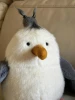 Seagull/25cm