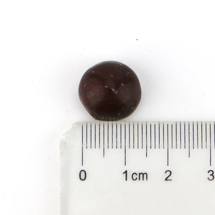 chocolate ball