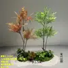 Paquete Nantianzhu 10