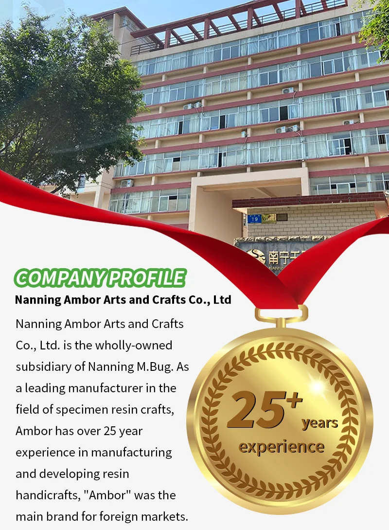 Company overview