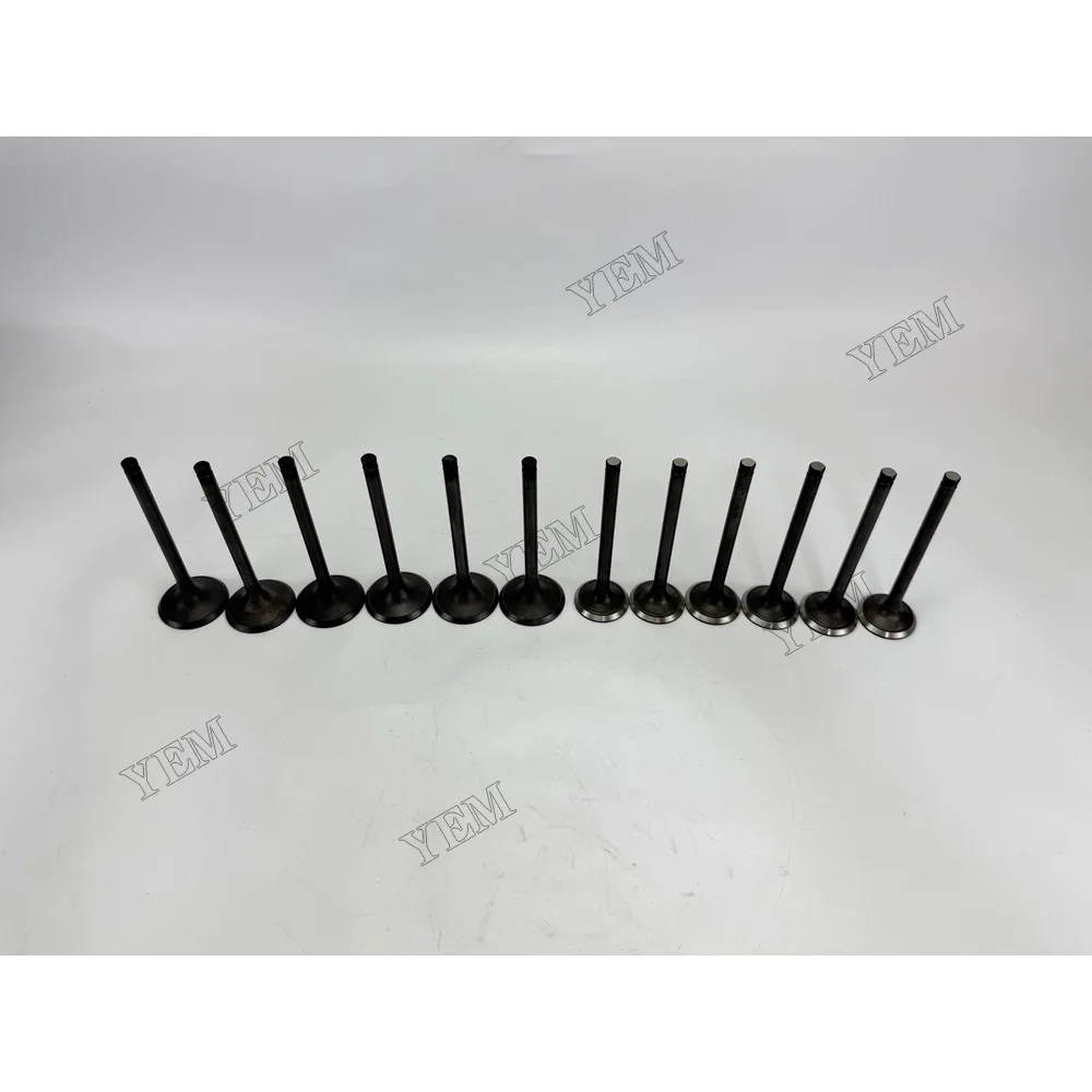 For Nissan NE6 Intake and Exhaust Valve Diesel Engine Parts