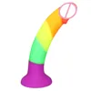 Arc-en-ciel