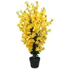 Giallo