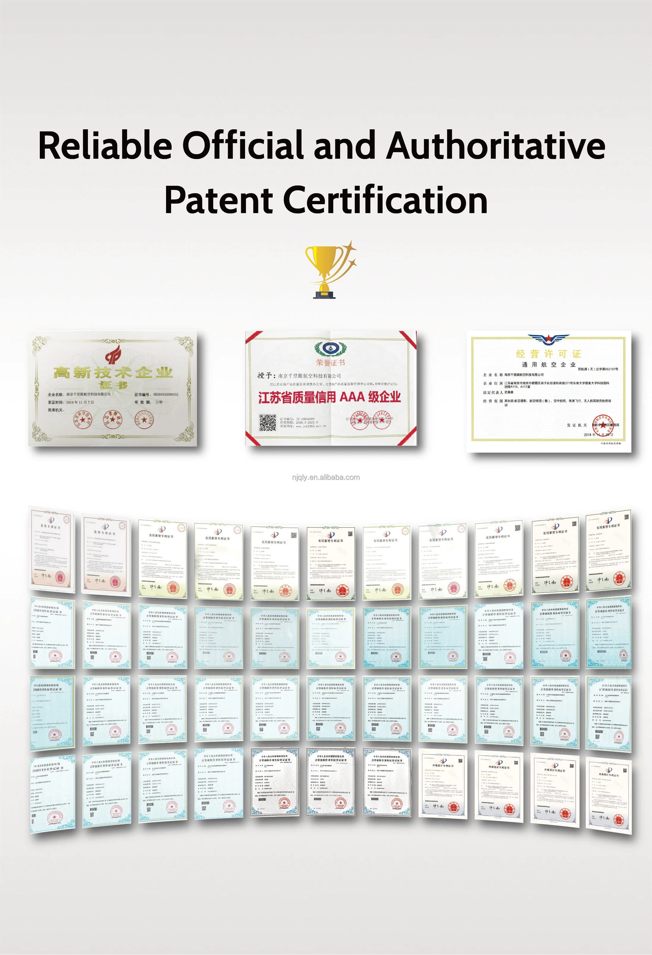 Bird Deterrent Solution Autonomic Laser Uav Mounted Birds Repeller For