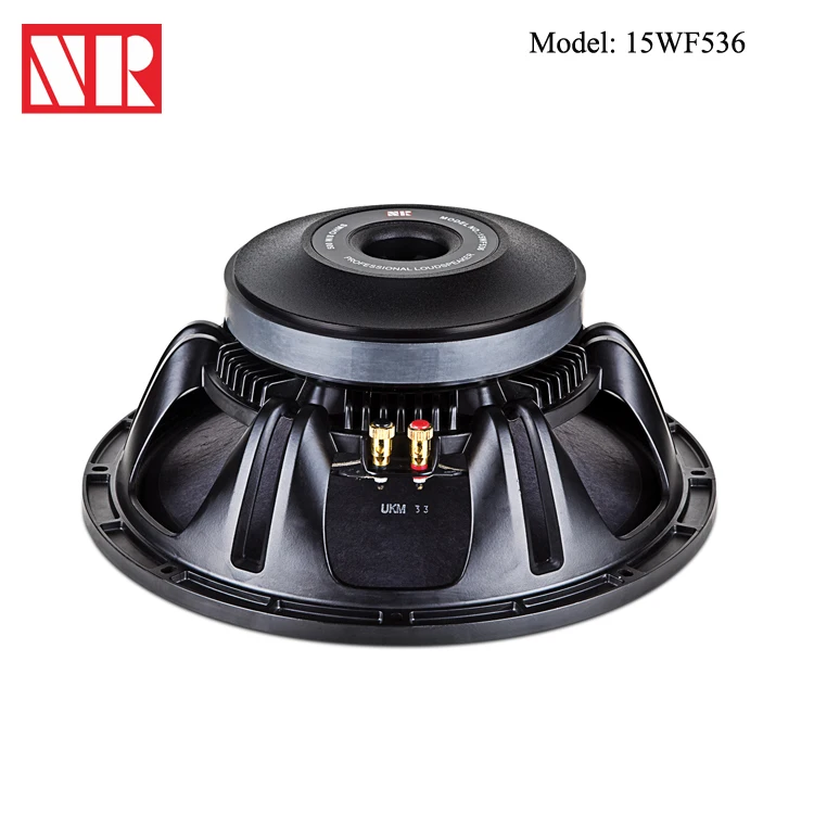 15 Inch Subwoofer Professional Speaker System Audio 220mm And