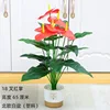 Grand pot nordique blanc en pierre blanche avec 18 branches d'anthurium rouge
