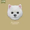 8 SAMOYEDS