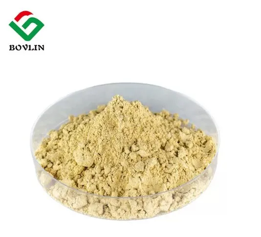 Pure ginger extract 5% Gingerol powder ginger extract