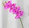 Viola chiaro