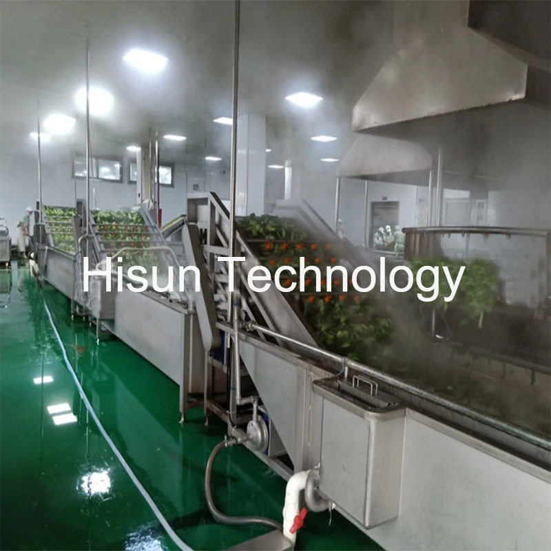 Washing Machine Vegetable Fruit Washing Machine Industrial Ozone Strawberry Apple Washing Line Drying Machine