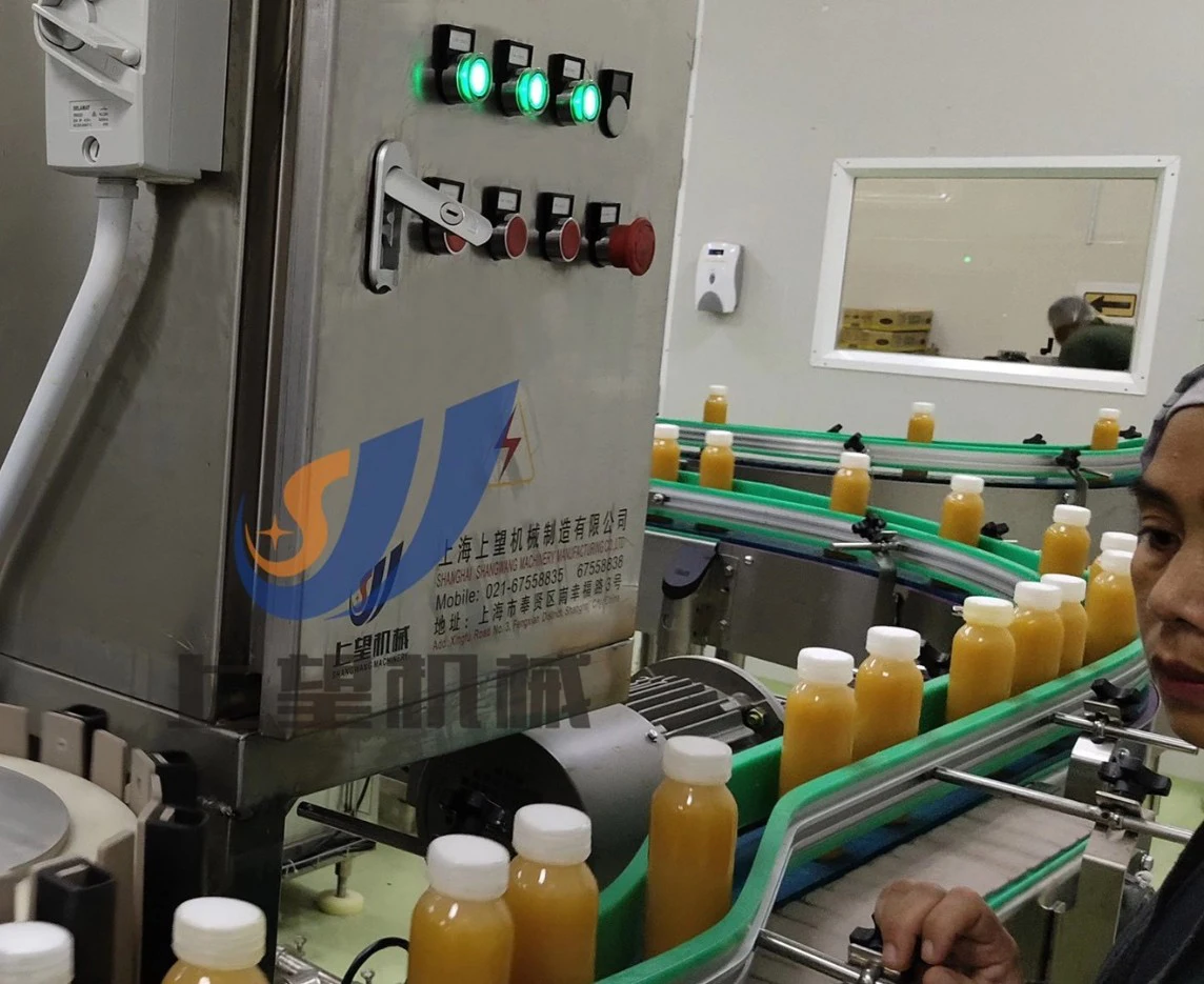 Small Scale Fruit Juice Processing Equipment