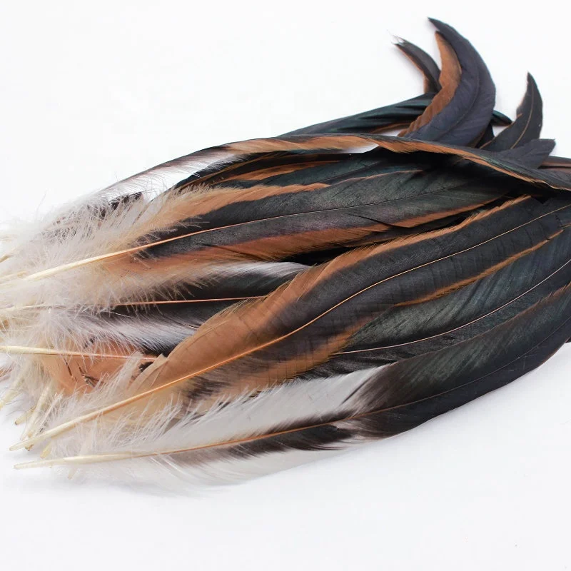 cock tail feather chicken feather - buy rooster tail feathers