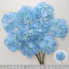 Light blue candy hydrangea branch