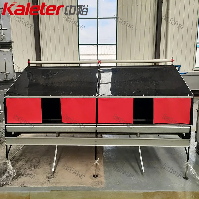 Breeders Hen Nesting Box Automatic Egg Collecting Machine System Poultry Farm Chickens Equipment