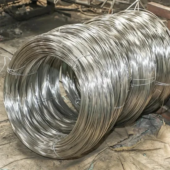 China ASTM AISI JIS SUS SS Funis 301 302 303 Steel Wire