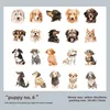 F Puppy Six-white