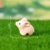 colorful Little Pink Pig No. 5