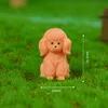 Caniche.- lindo perro