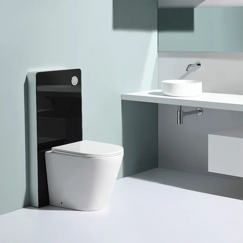 High-performance ceramic wall-mounted lavatory