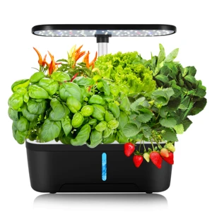 Vertak OEM Customized Garden Indoor Herb Garden Planters Hydroponic Growing Systems Kitchen Smart Planter Pot