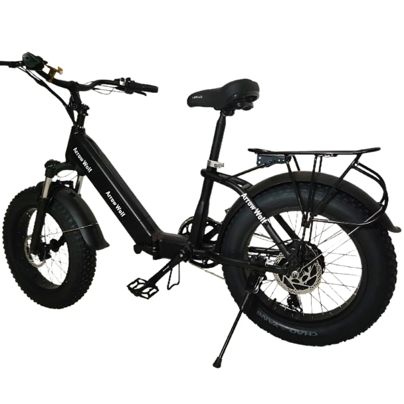 Electric Bike 20 Inch Foldable 4.0 Fat Tire Ebike Mountain Power