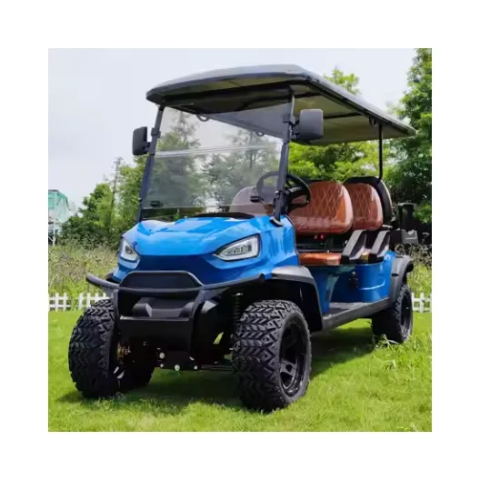 Lsvカスタム大人電気ゴルフカート6席72Vリチウム電池カスタマイズ可能