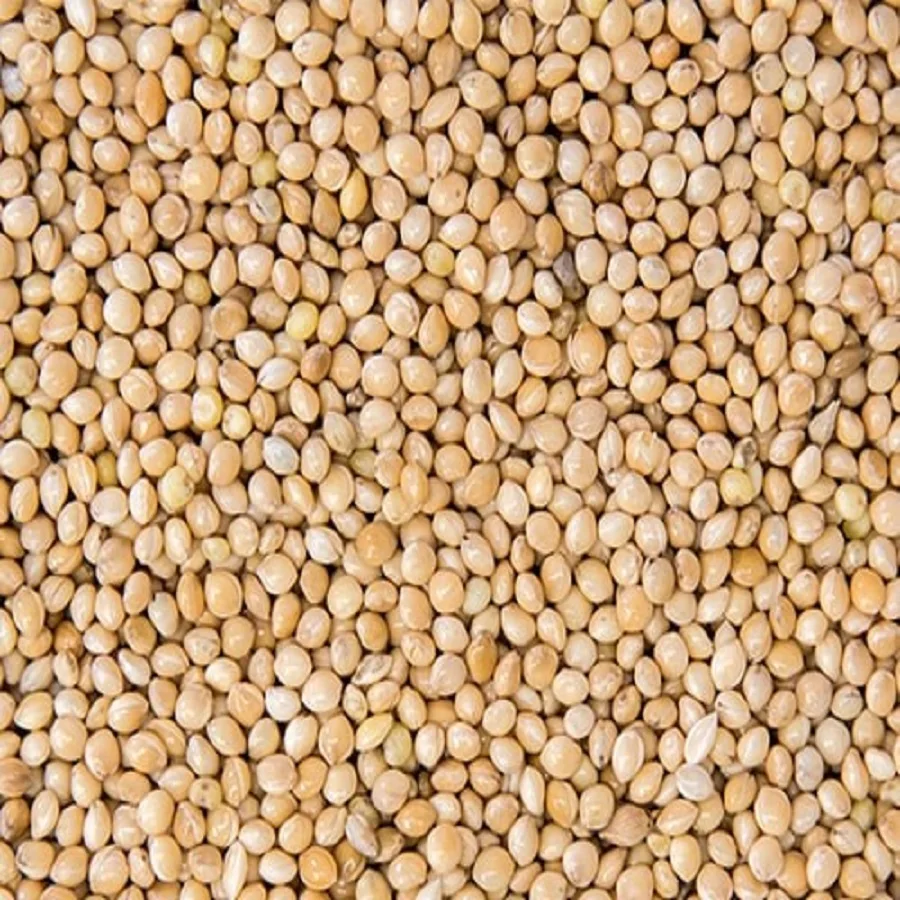 white and red millet