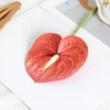Single film red palm melon red