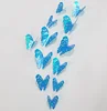 Blu01