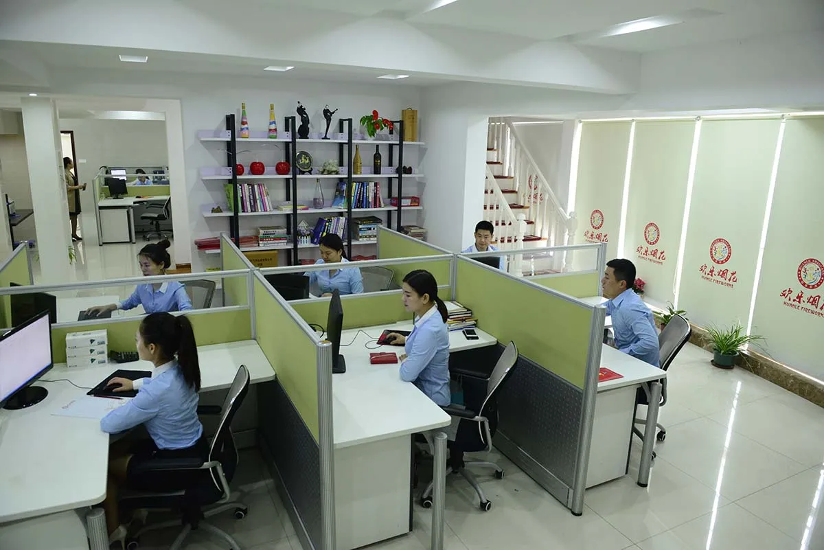 Liuyang Happy Moment Fireworks Manufacture Co., Ltd. 2