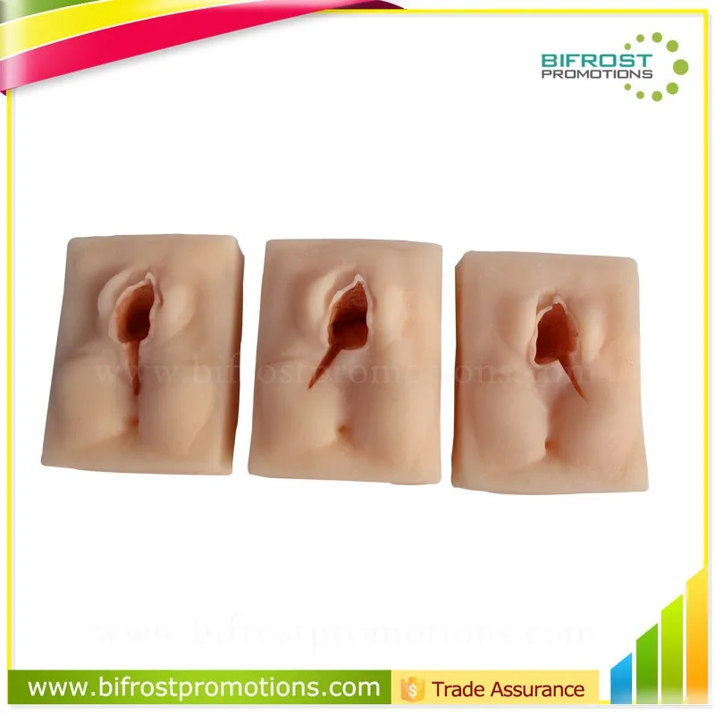 Female Organ Suture Training Vulva Model