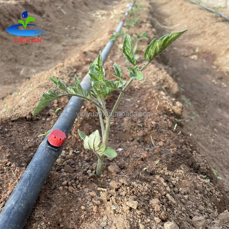 Drip Irrigation Sprinkler Drip Emitters 1 Gph Water Dripper