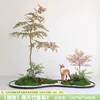 Nandina Set