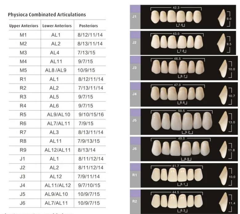 Ce Iso Factory Dental Artificial Acrylic Resin Teeth Buy Acrylic