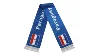 Bandera Paragnay