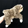 sloth